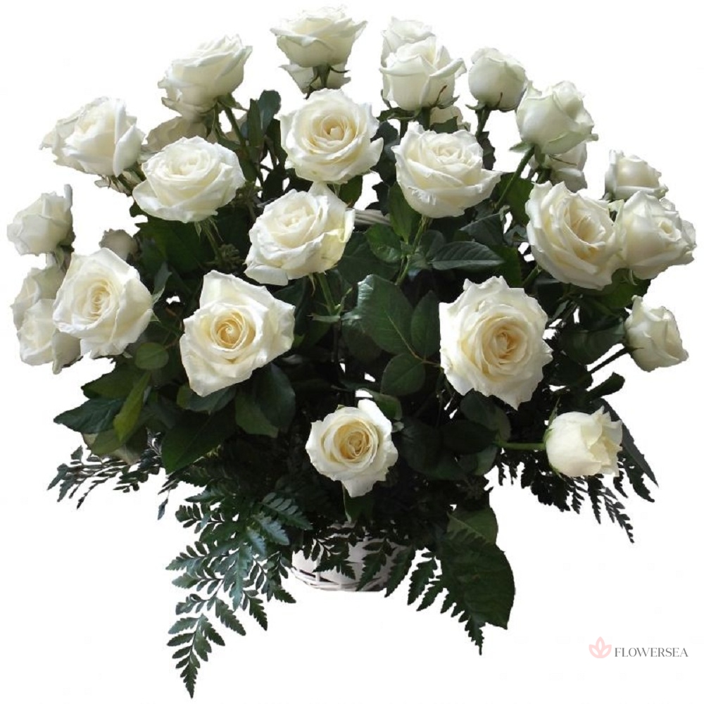 ����� � 31 ��� �������