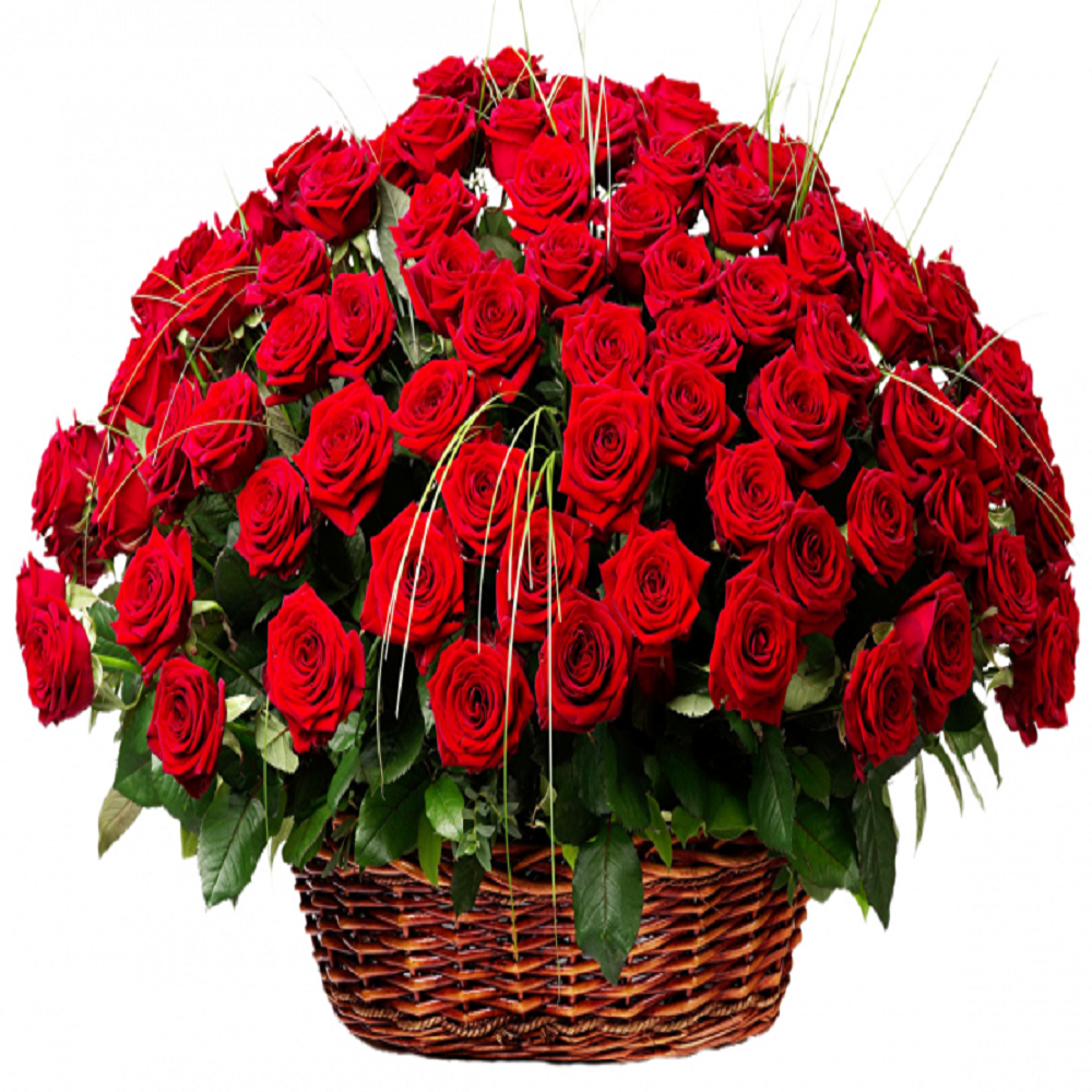 ����� � 101 ������� �������