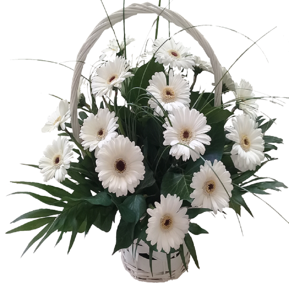 ����� 15 ���� ������