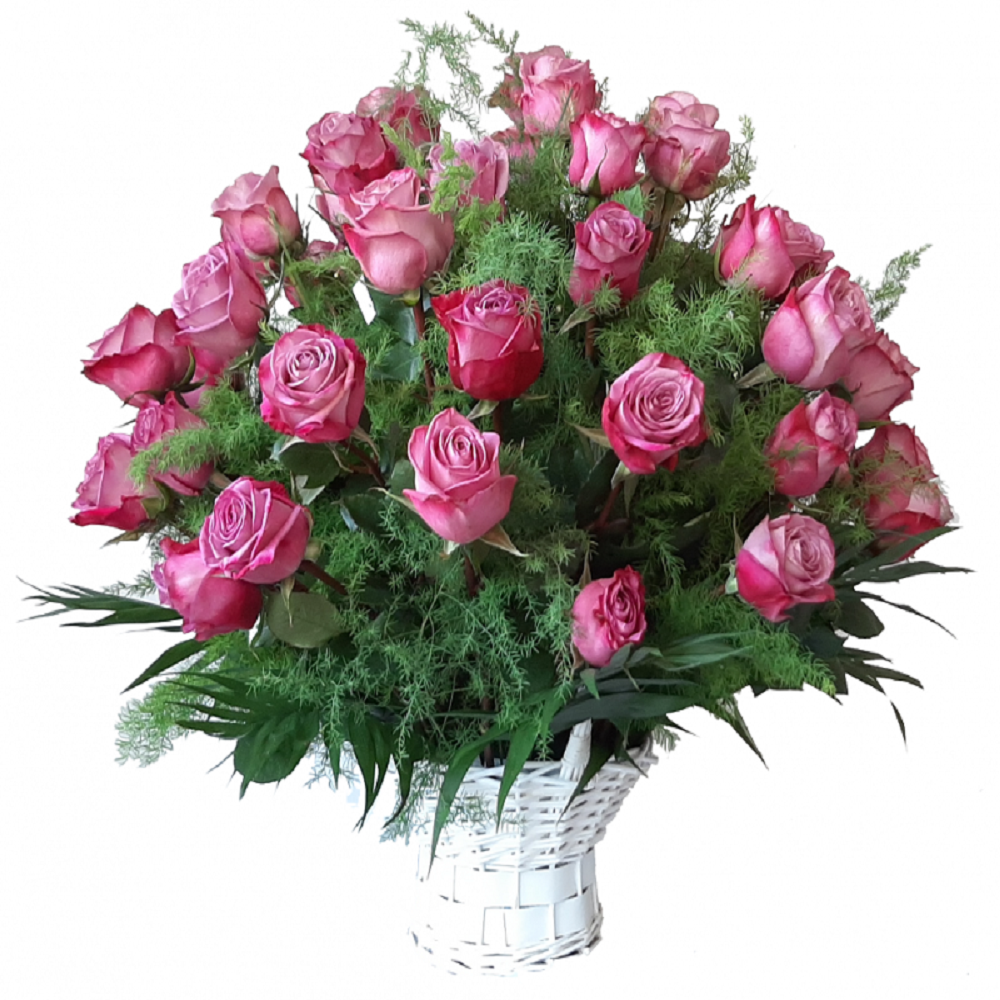 ����� � 51 ������� ĳ� �����