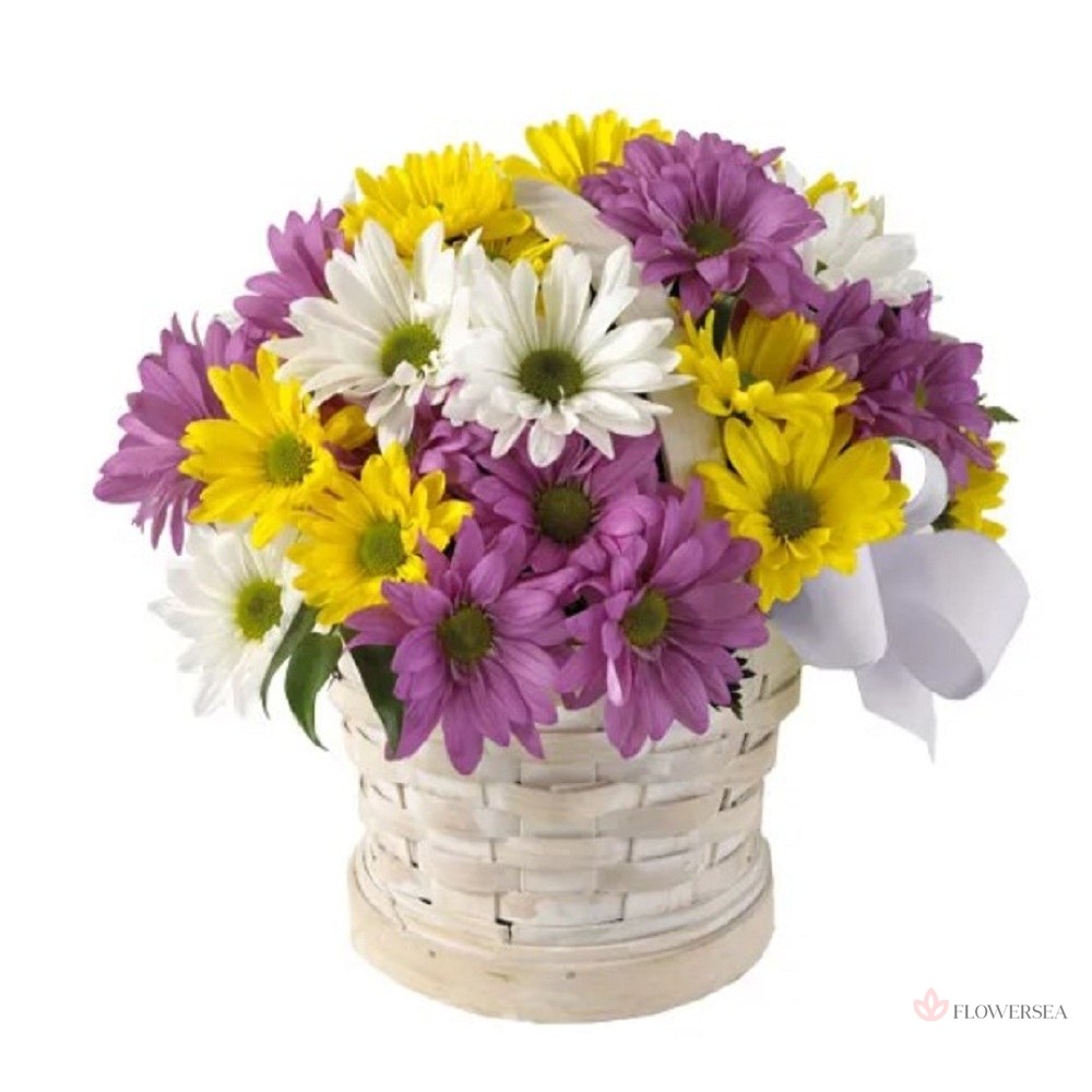 ����� ���������