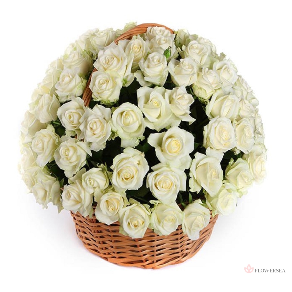 101 ������� ������� � ������