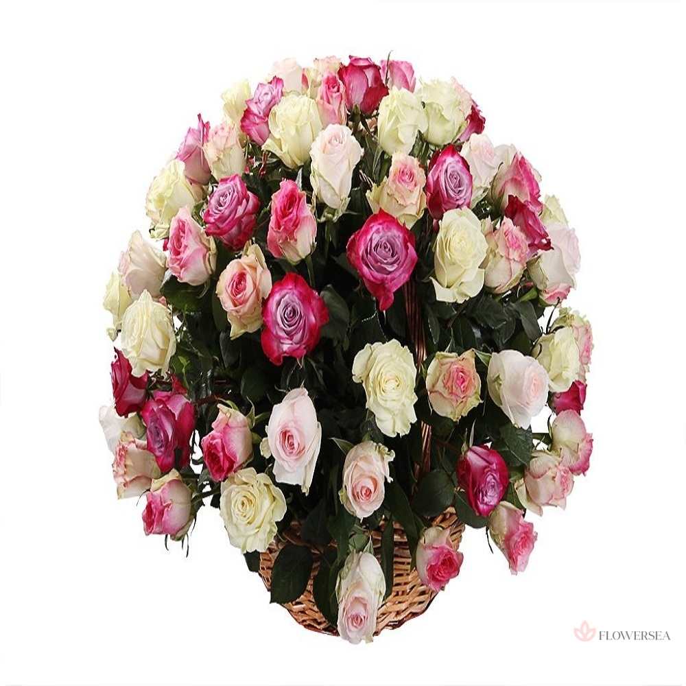 45 ������ � ������