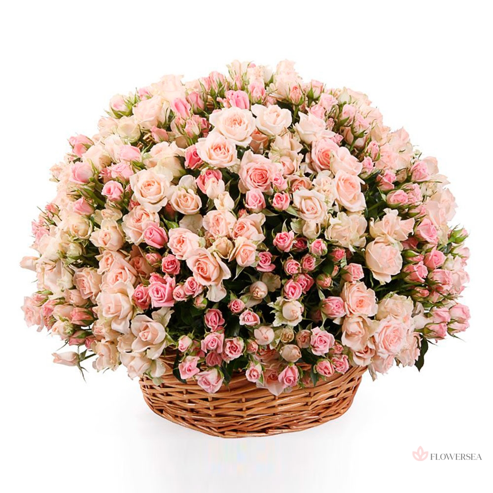 ����� � 101 ������� 