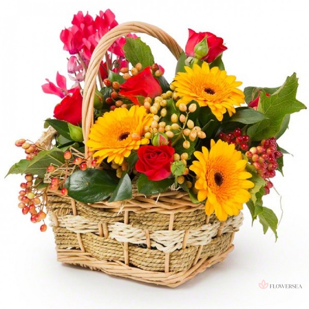 ����� �������