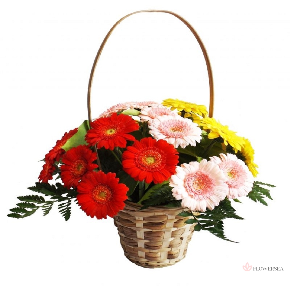 ������� � ��������