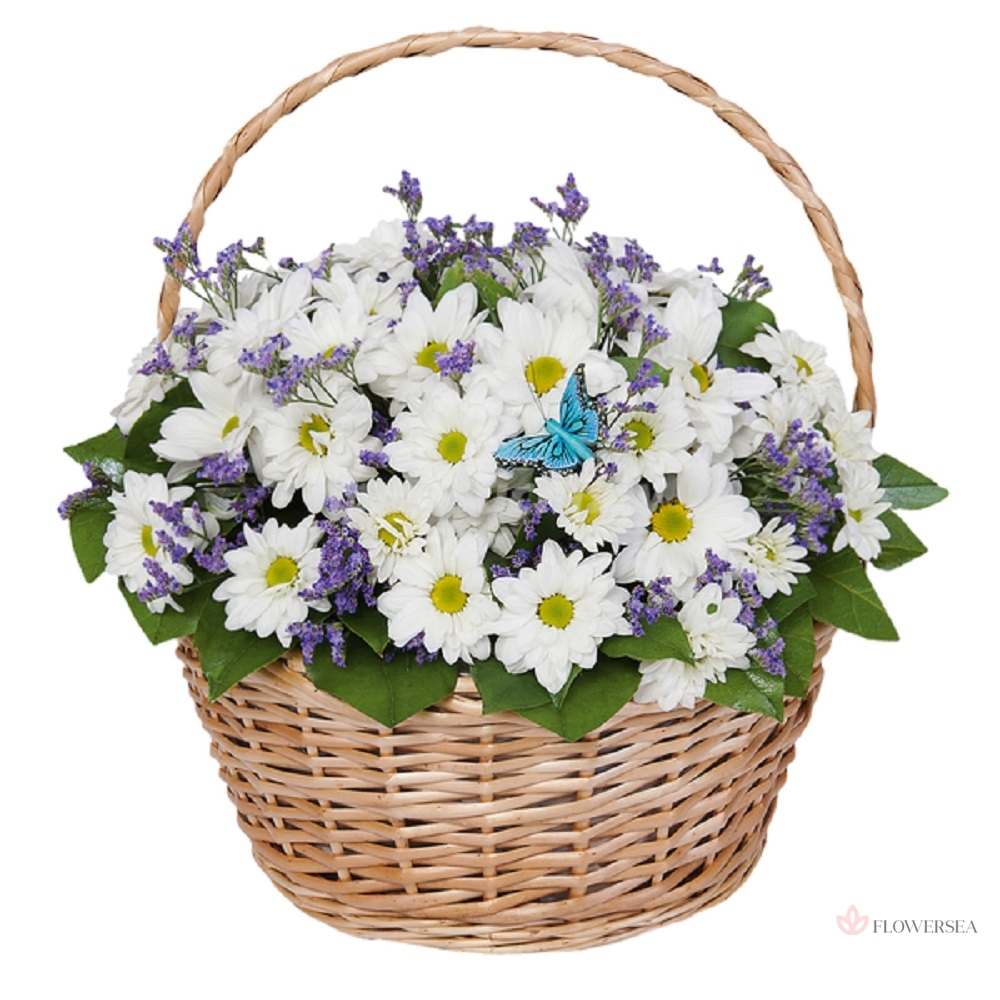 ����� � 19 ���� ���������