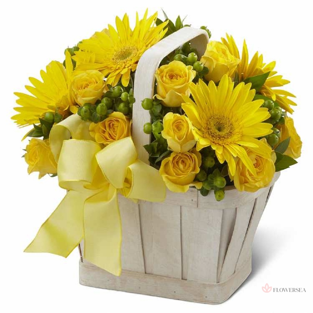 �������� � ������ �����