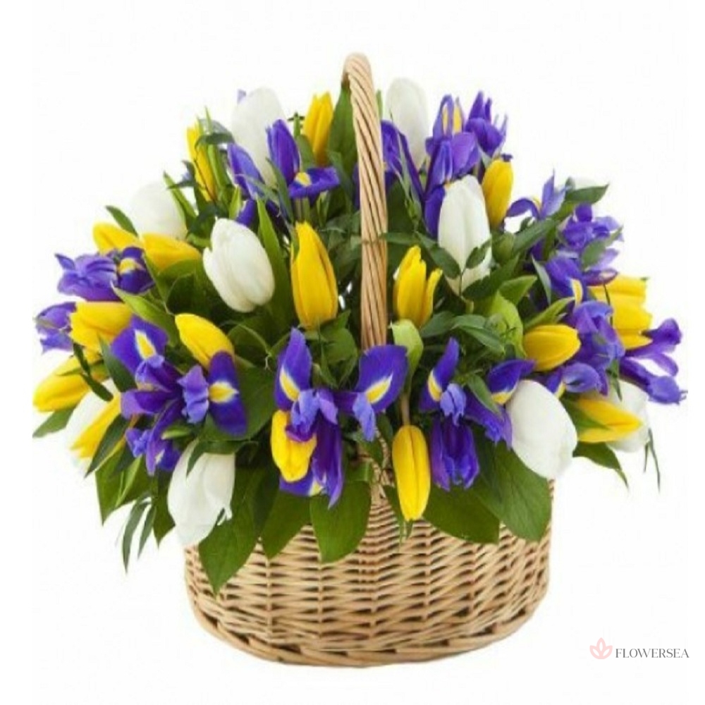 ������� � ������� � ����������