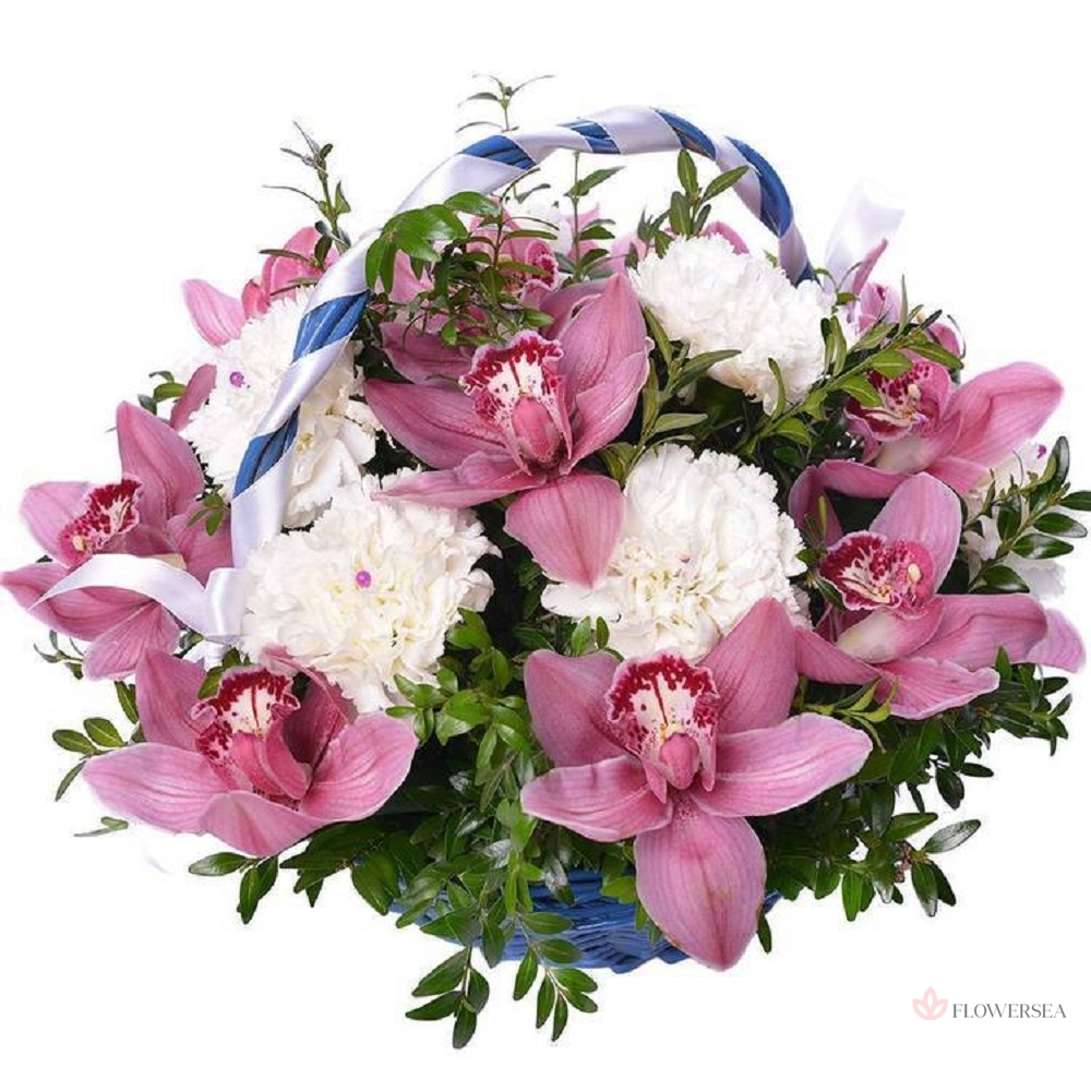 ������� � ��������� � ����������