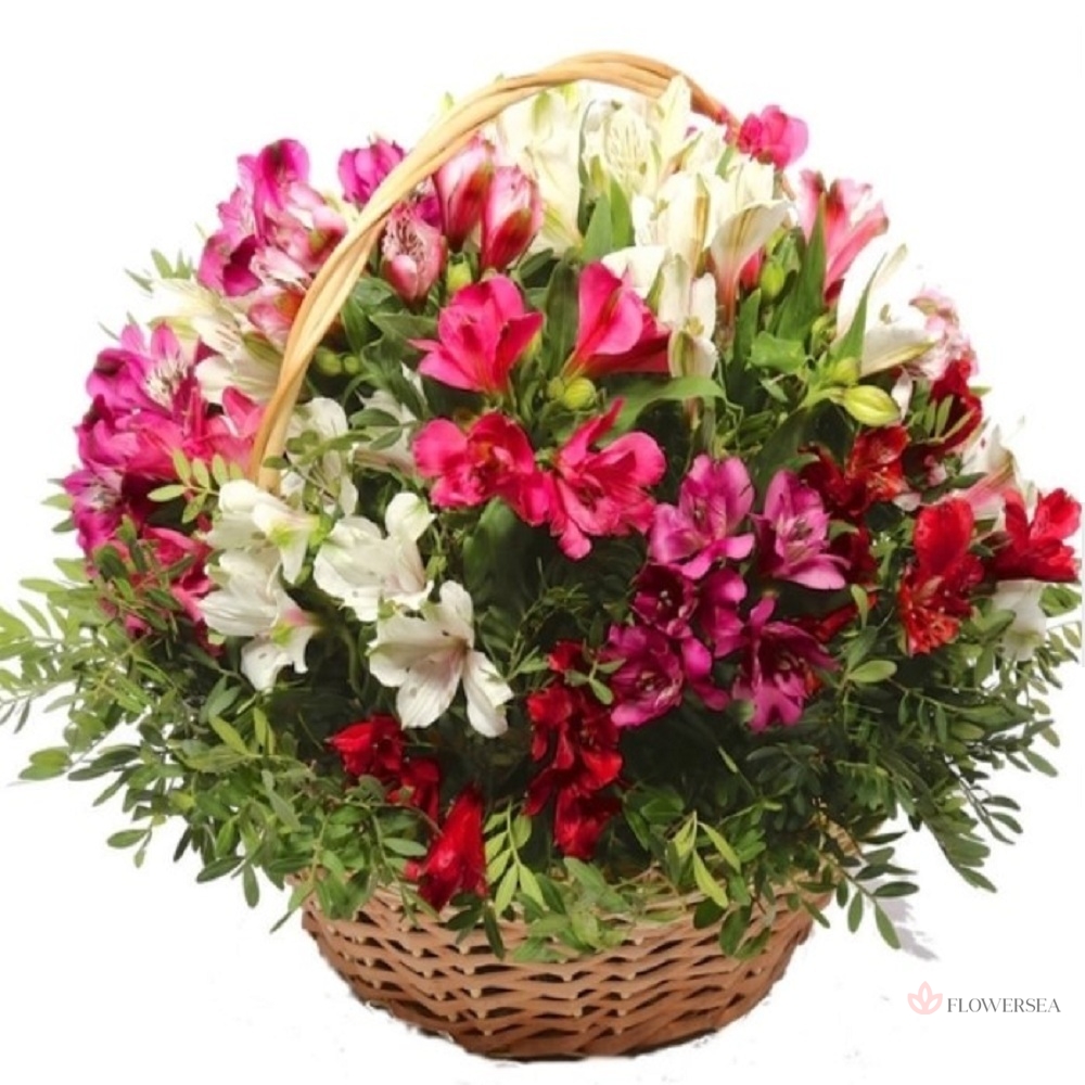 ������� � 25 �����������