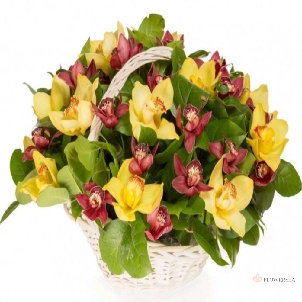 ������� � 35 ����� ������