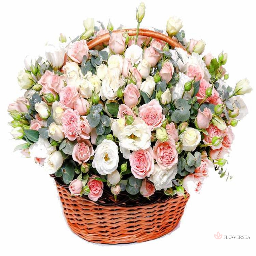 ������� � �������� �� ���������