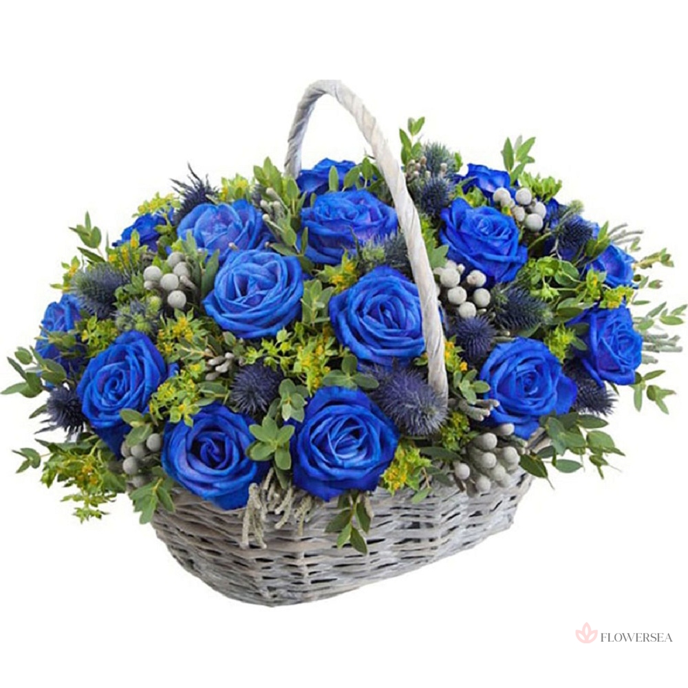 �������� ����� ������