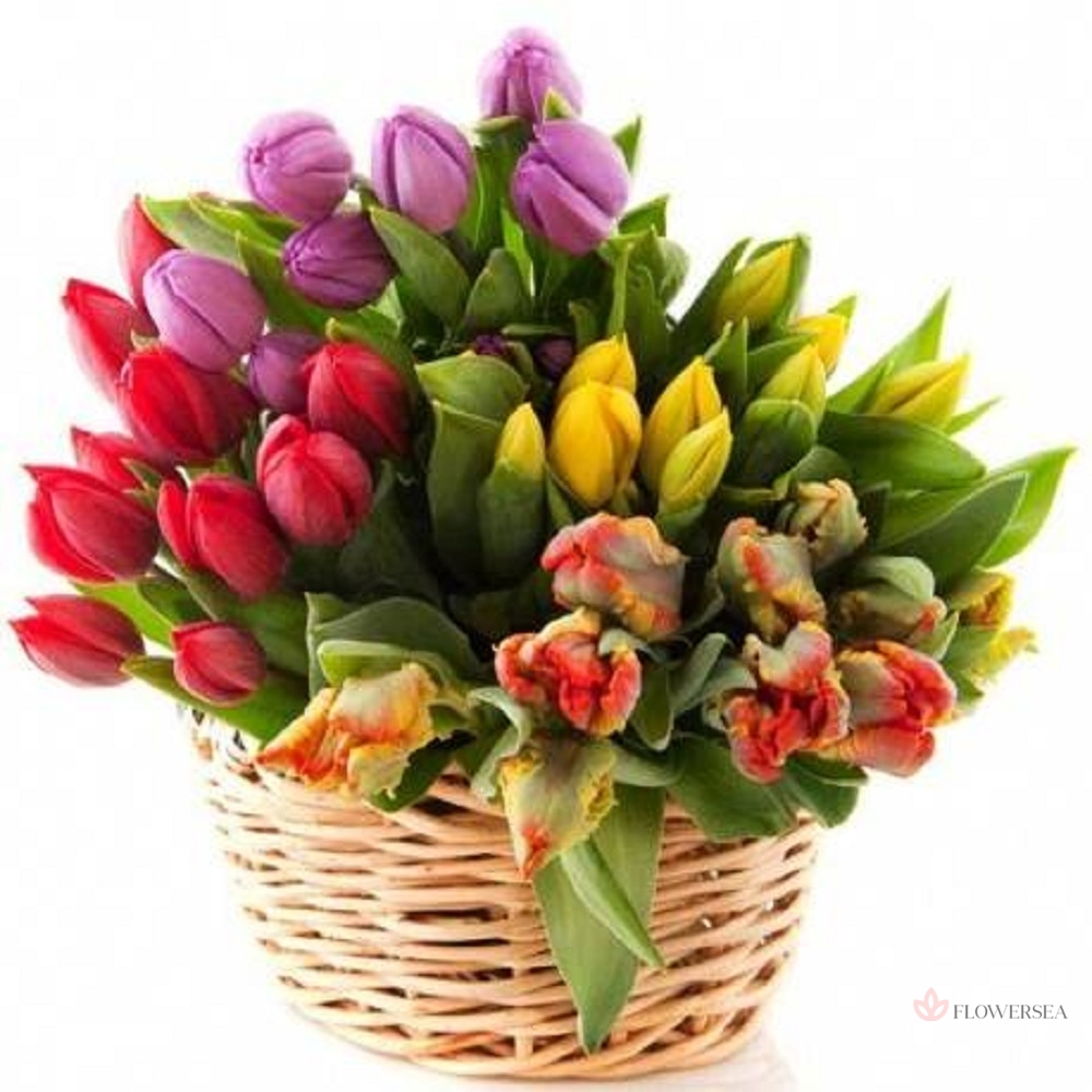 51 ������� ��� � ������