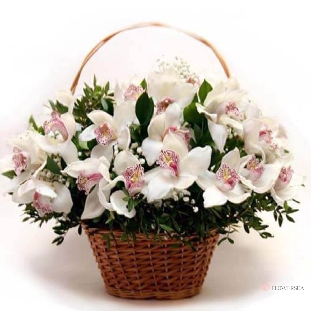 ����� �� 31 �������