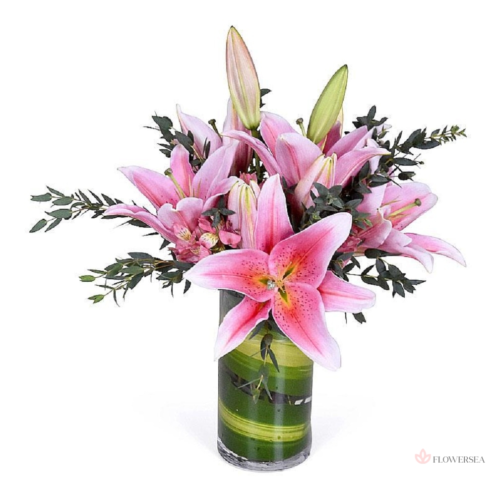 ����� �볿 � ���