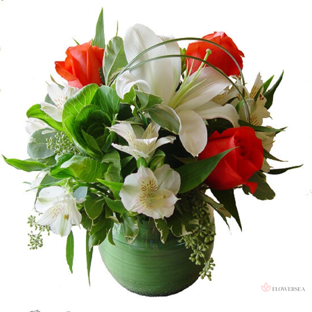 ���������� � ��������