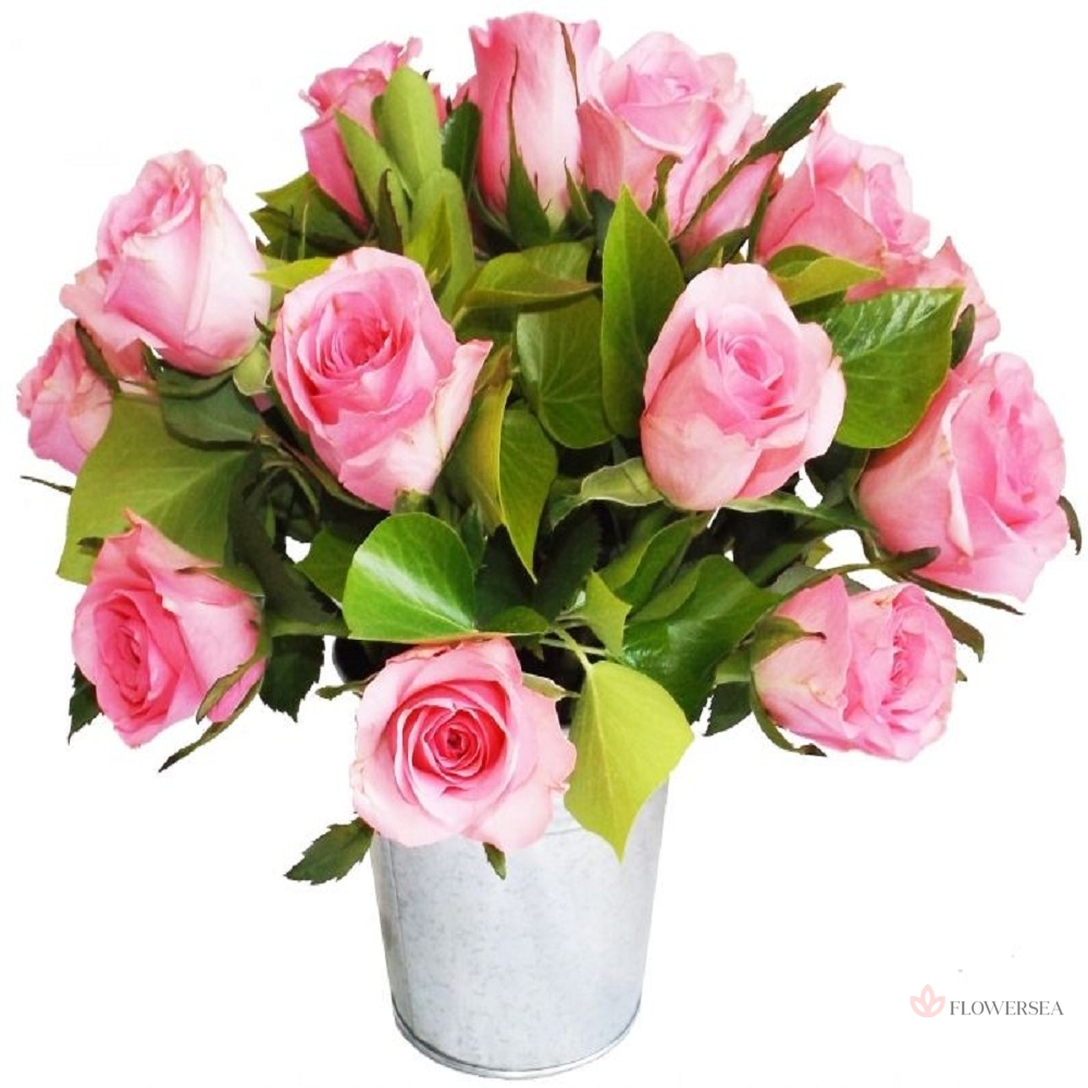 15 ������� ������ � ���