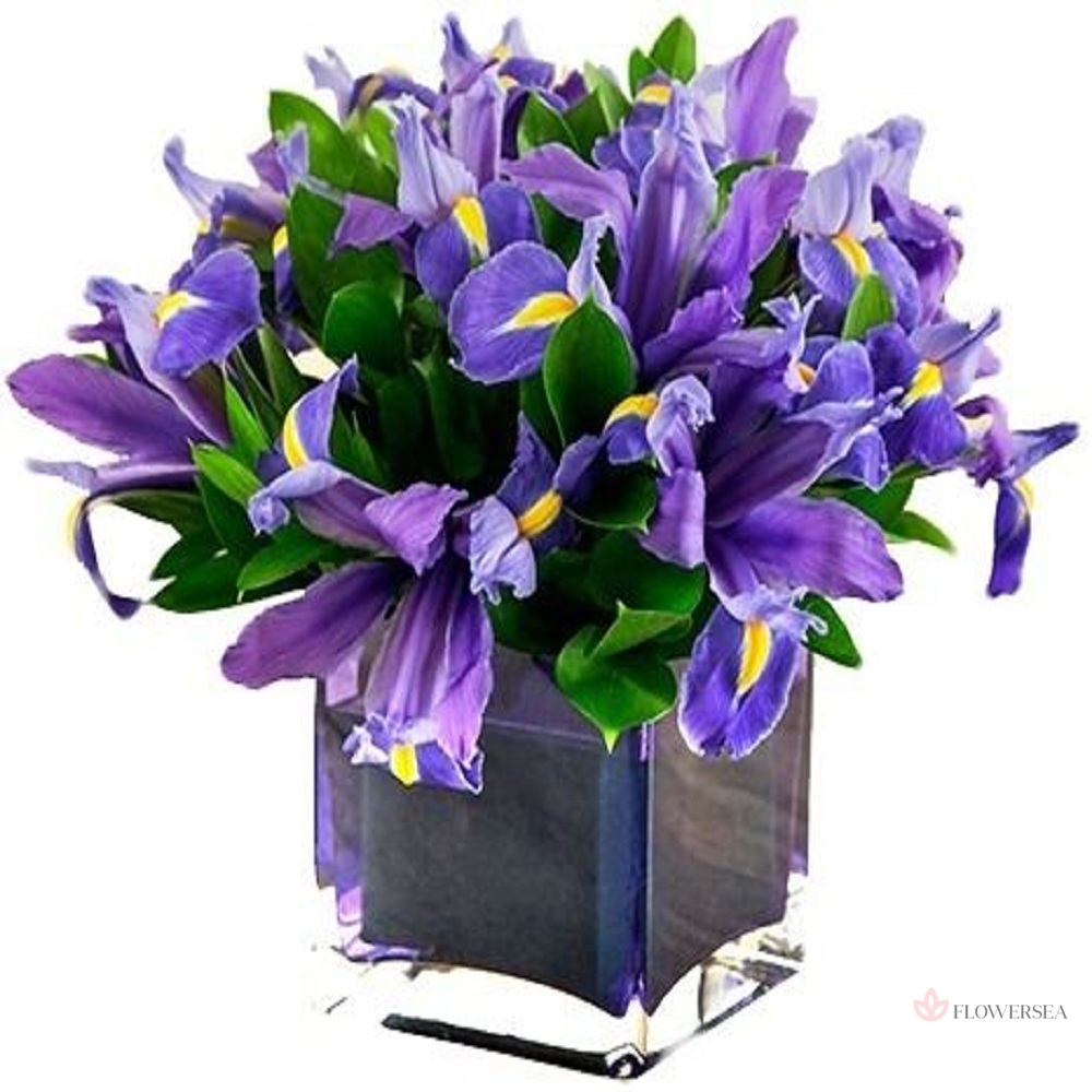 19 ����� � ���