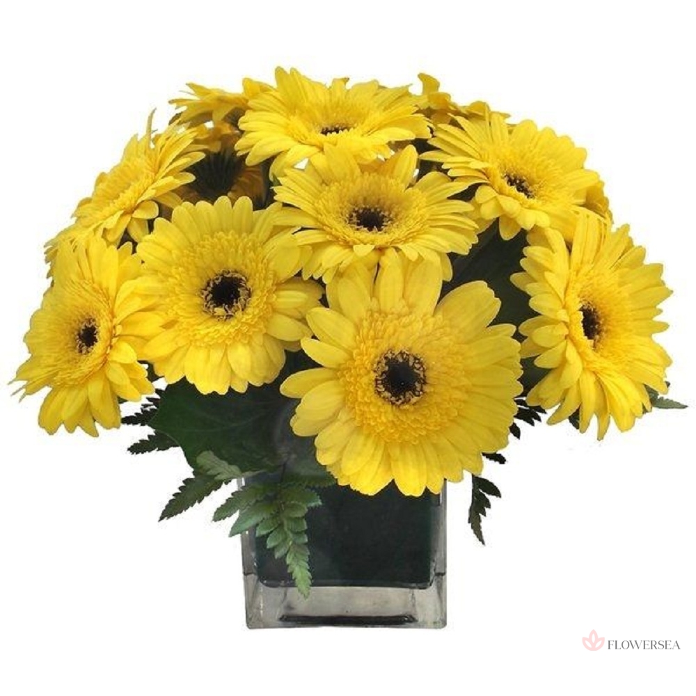 15 ������ ������ � ���