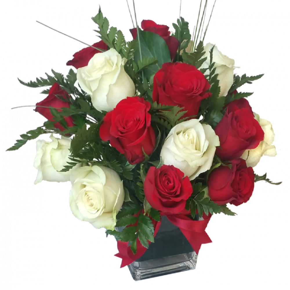 15 �������� � ���� ������ � ���