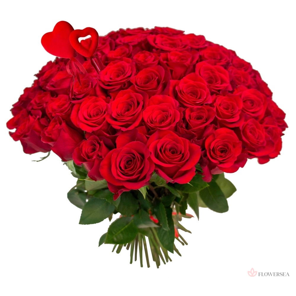 31 ���� ������ � �������