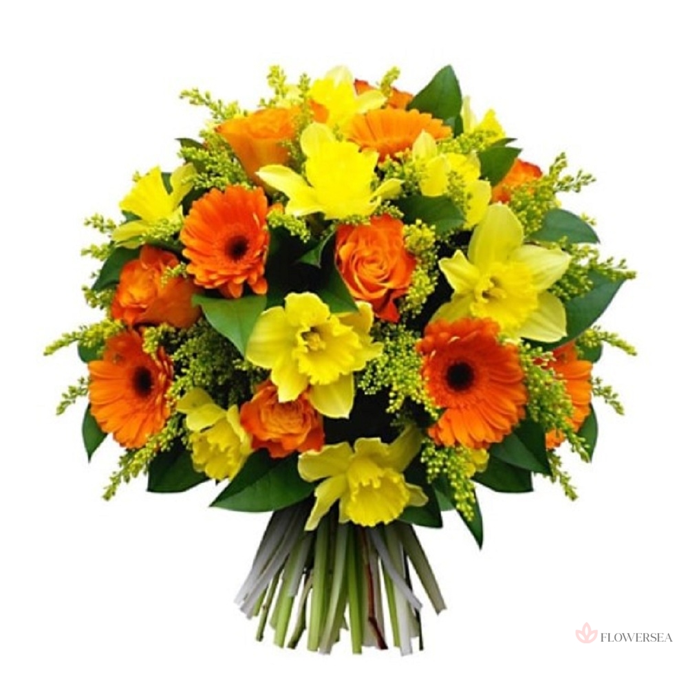 ����� �� ��������� � ����-������