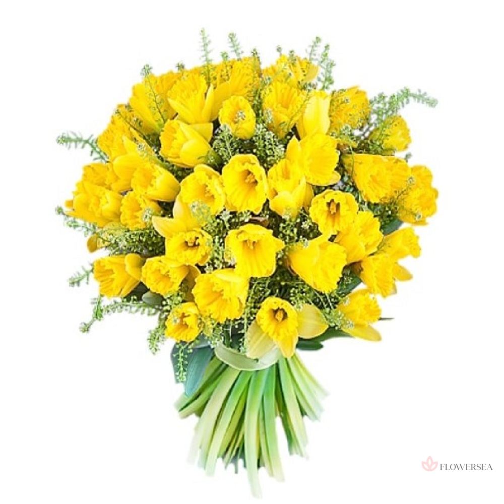 ����� �� 51 ������ ��������