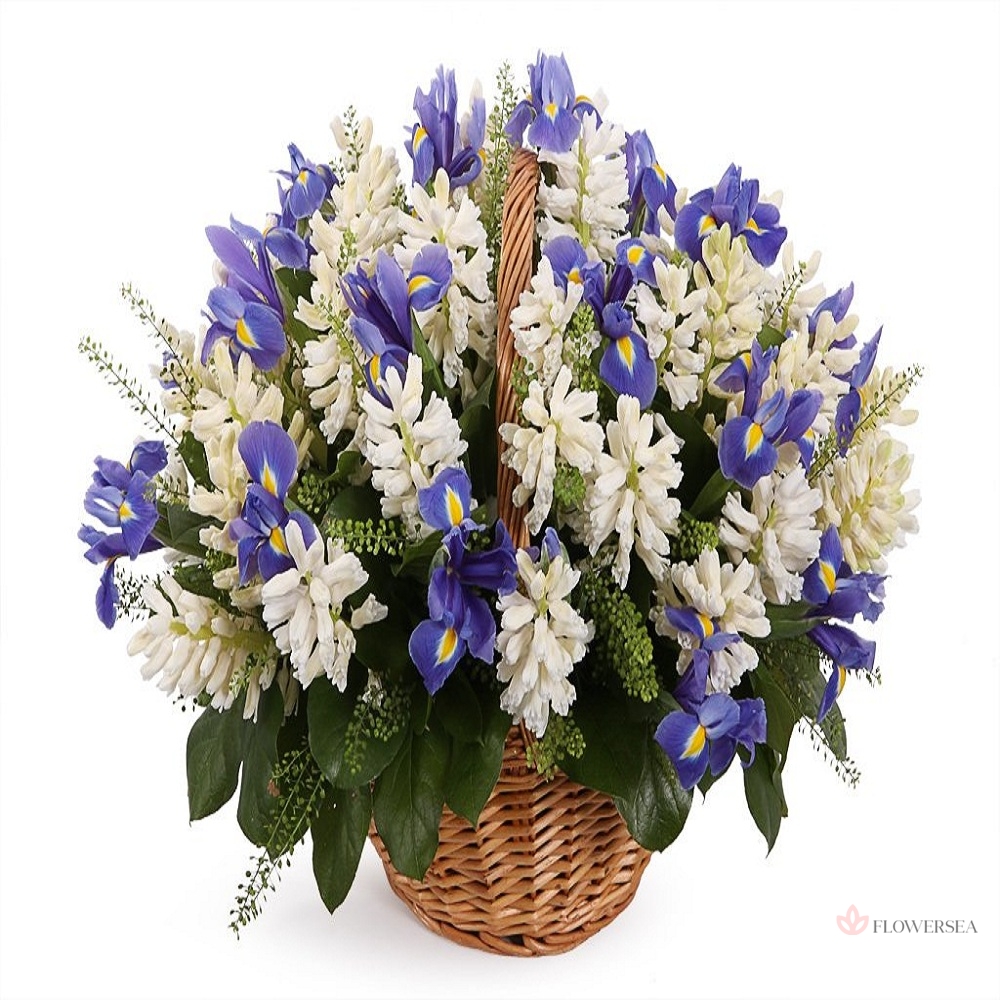 �������� � ��������� � ���������