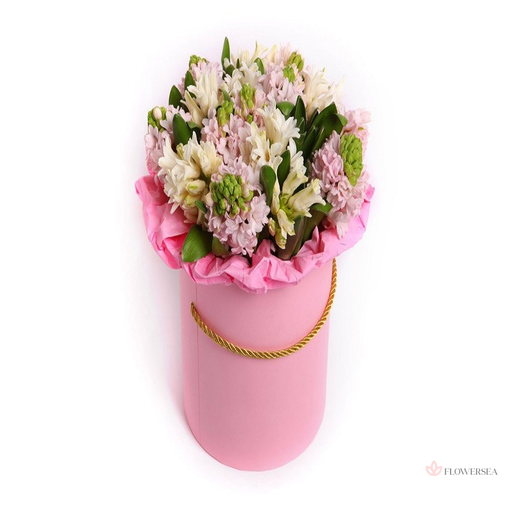 �������� � �������