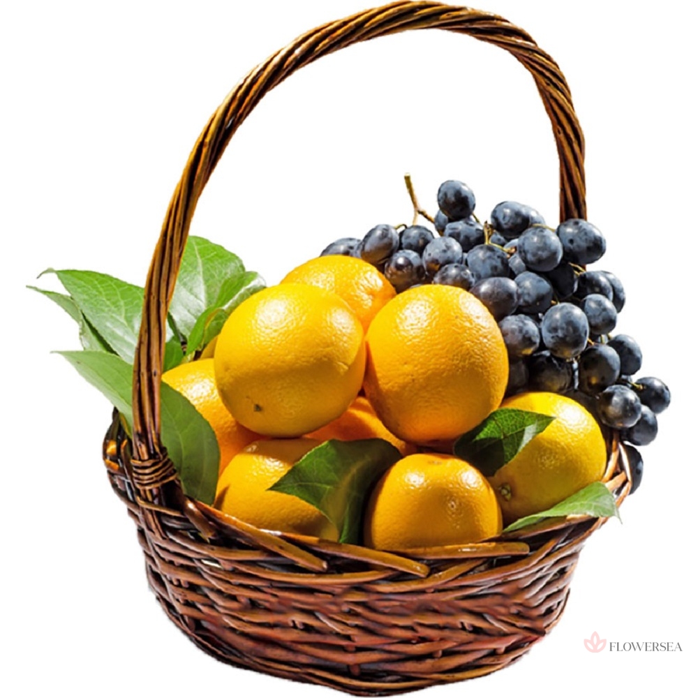 ����� ��������� � ����������