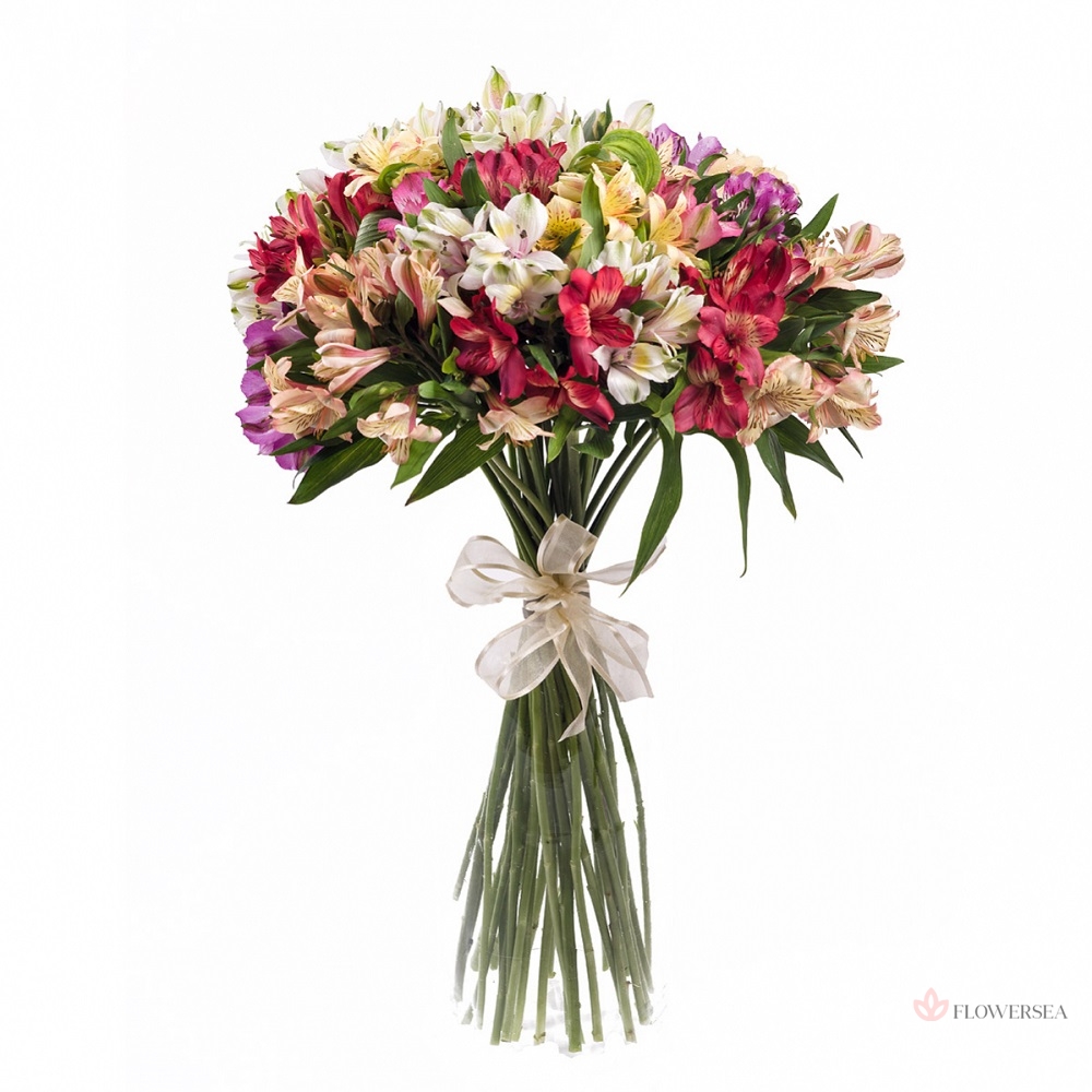 19 ��������� ����������� ���