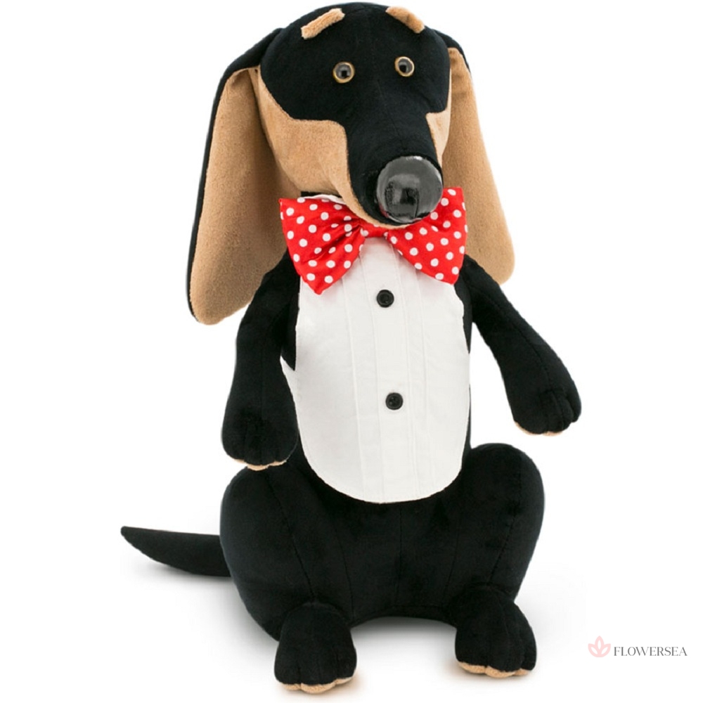 ��������� ����������