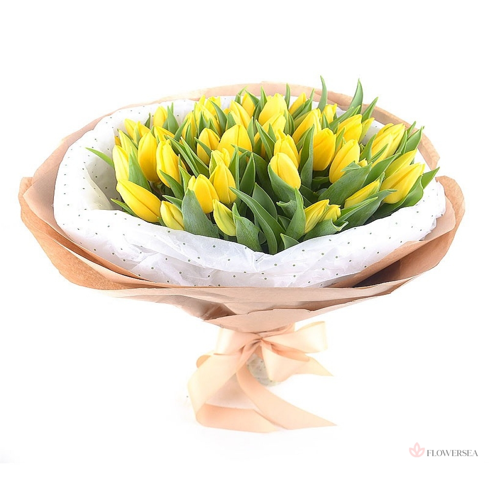 ����� �� 31 ������ ��������