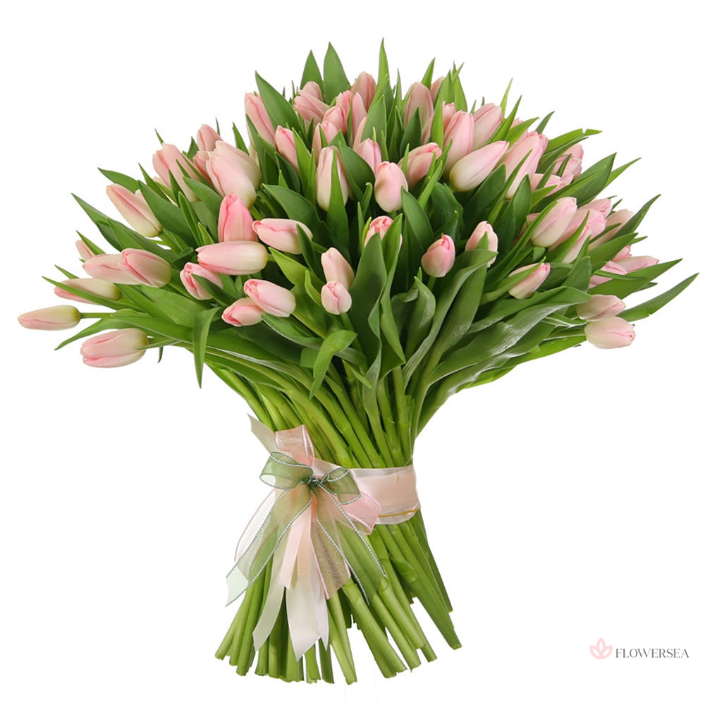 101 ����� ������� �������