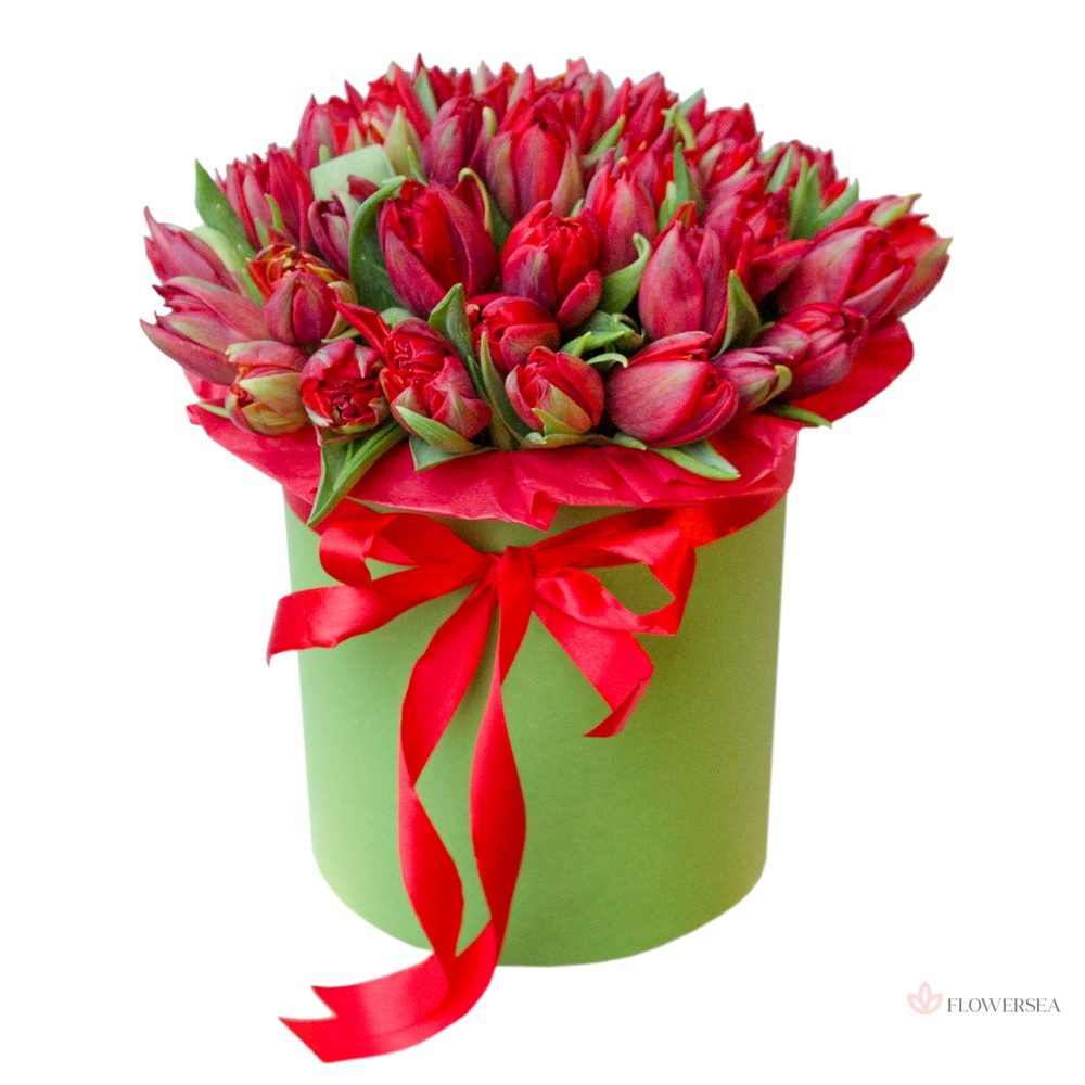 51 ����������� ������� � �������