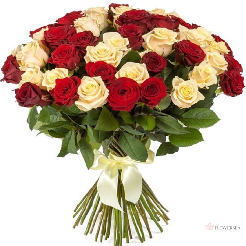 51 ������� ����� � ���� ��