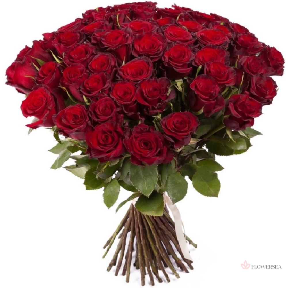 51 ������� �����