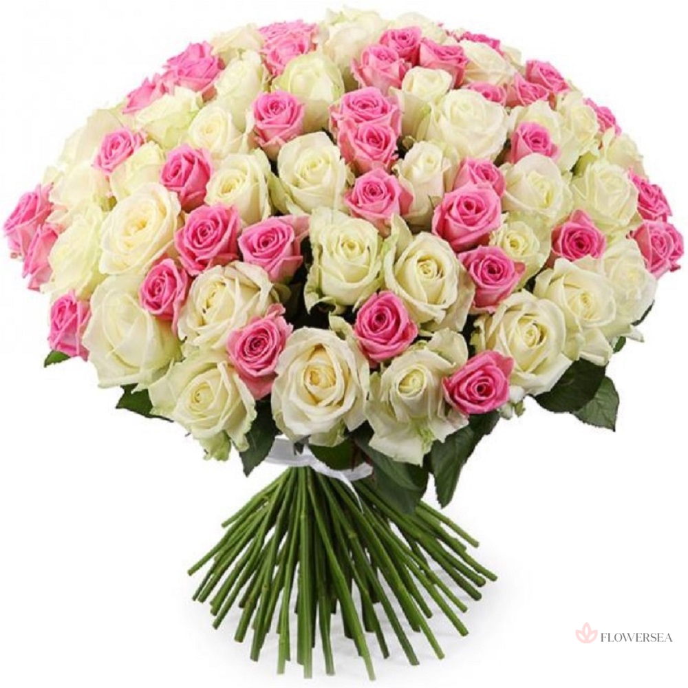 101 ���-������ �������