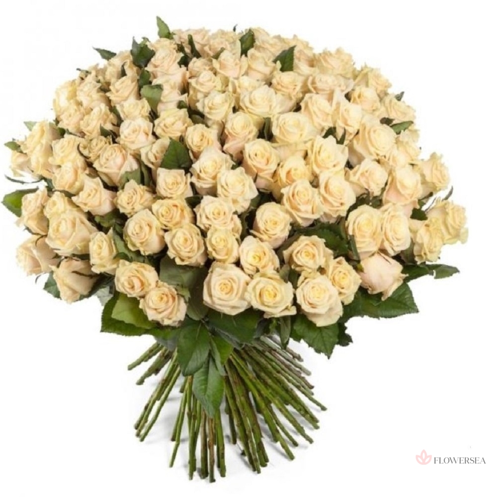 101 ������� ������� �����