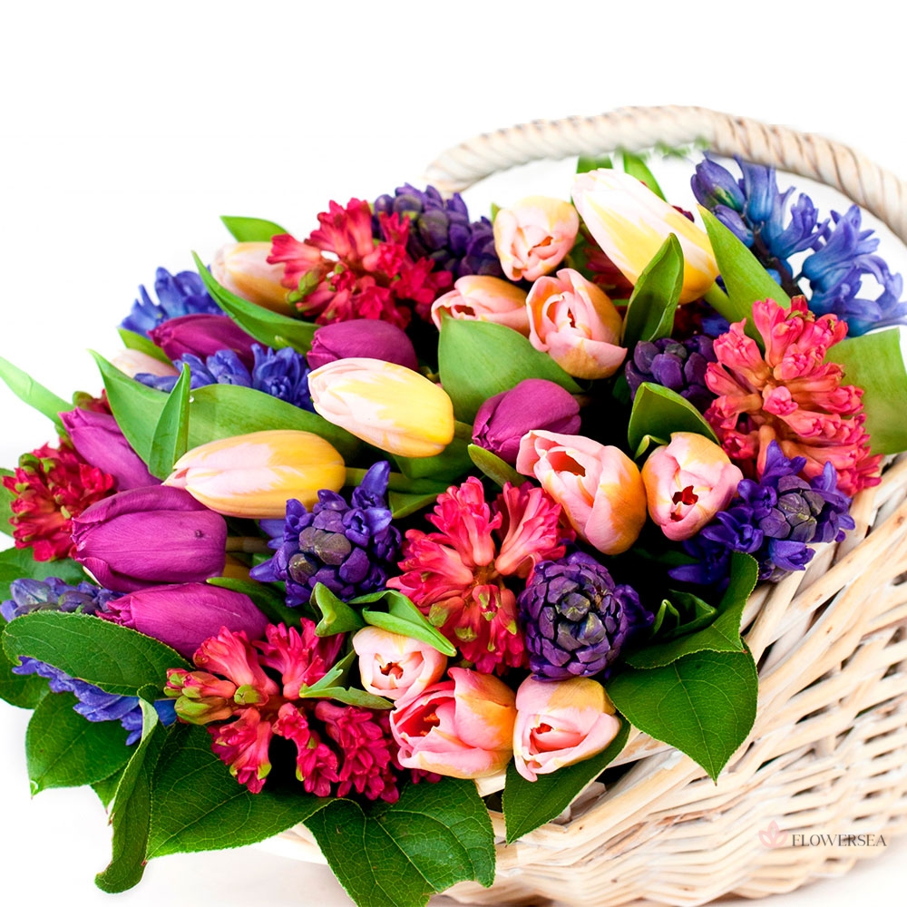 ������� �������� ������