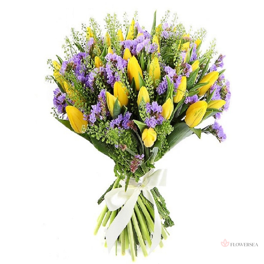 ����� ���������