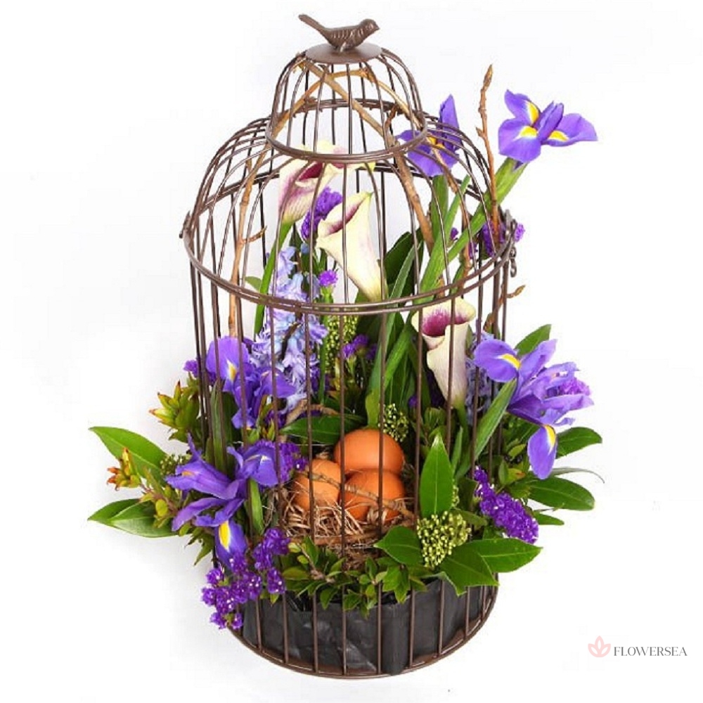 ���������� � ������