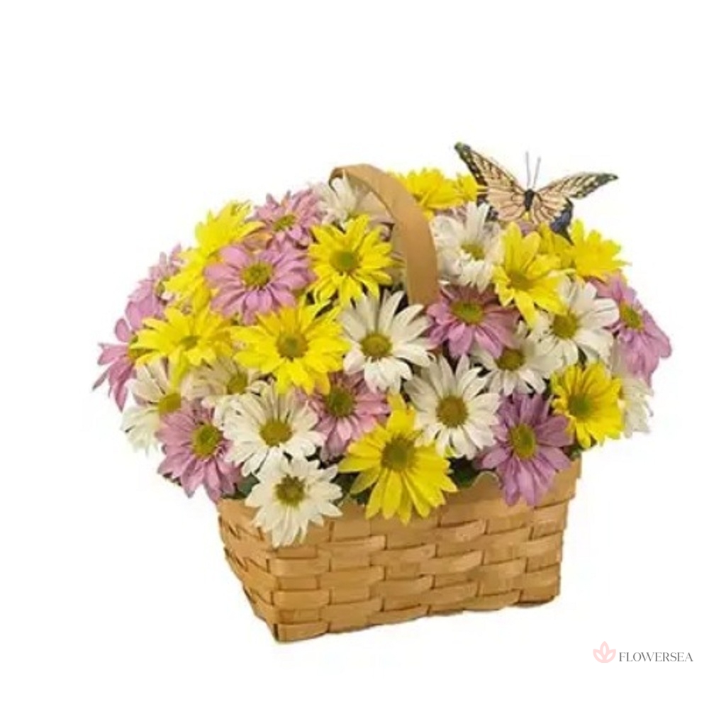 ����� ���������