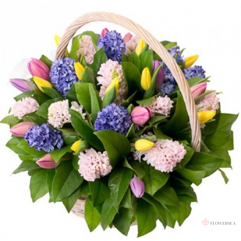 �������� � �������� � ��������