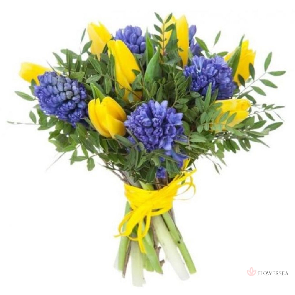 ����� ��������� � ���������