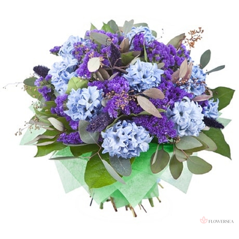 ����� � ���������� � ��������