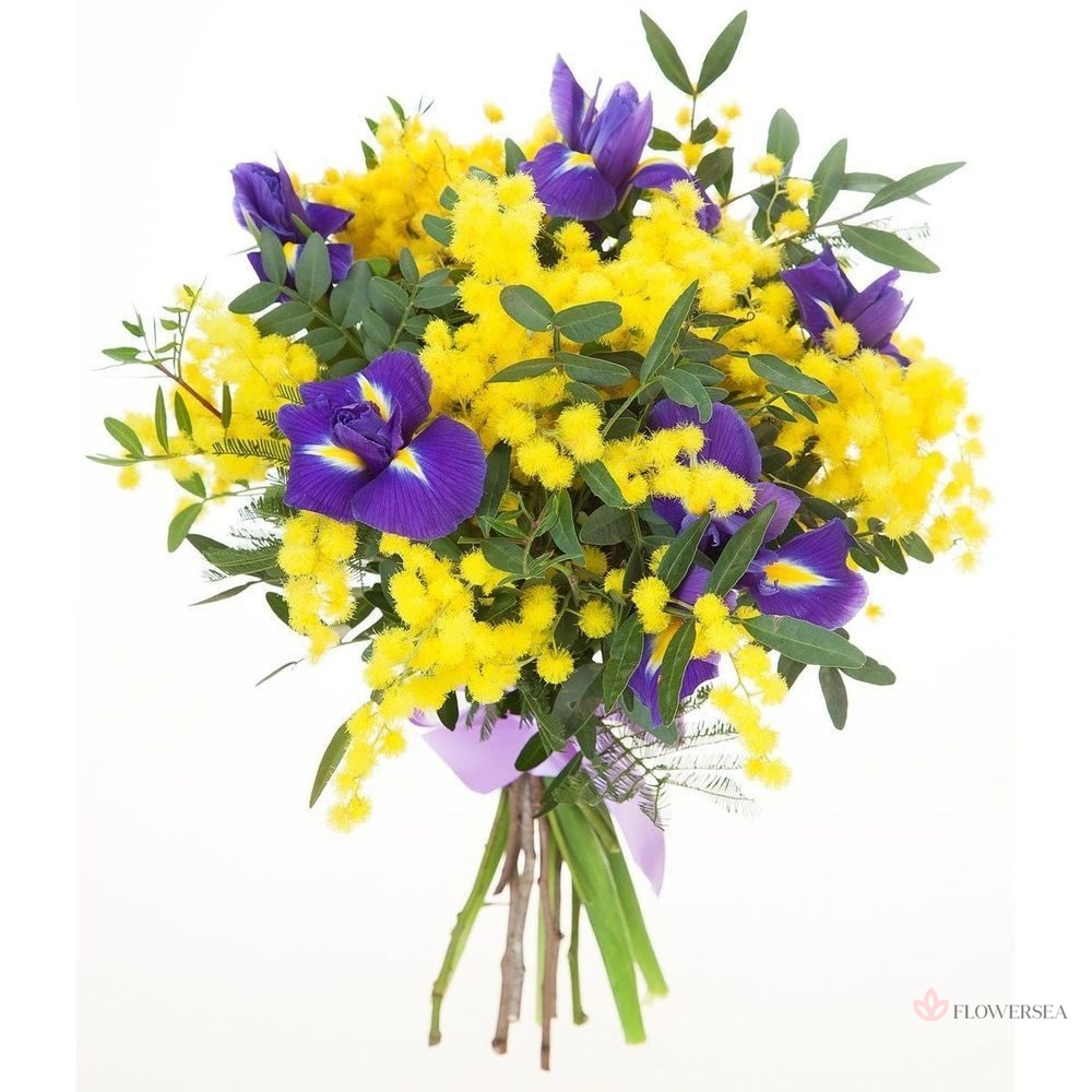 ����� �� ������ � ������