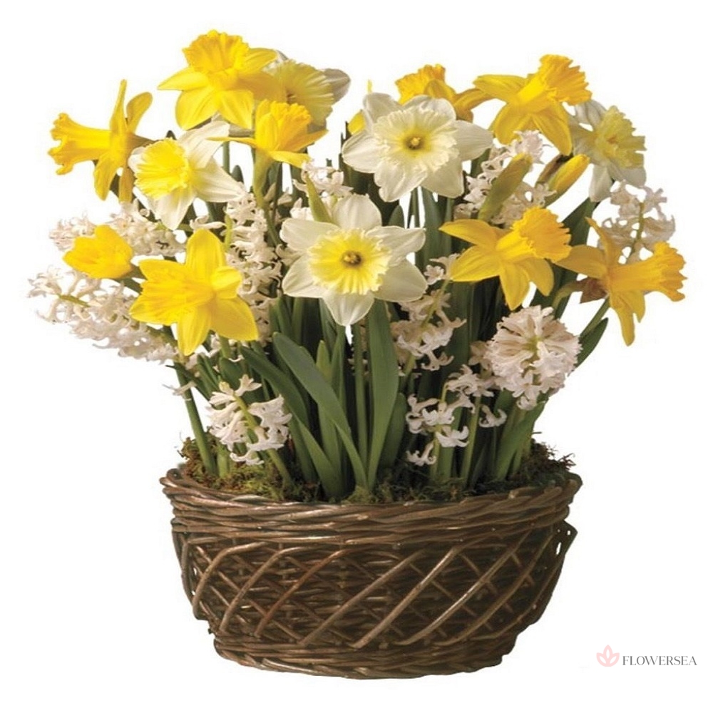 ������� � ���������� � ����������